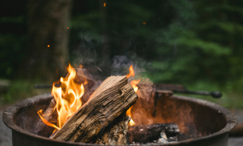 Episode 84: Trip Chaperones