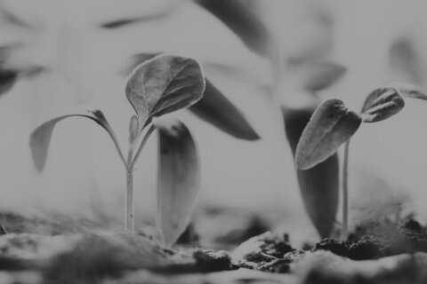 Episode 6: Making All Things New