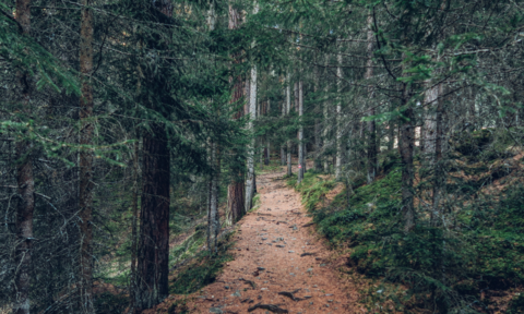 Episode 70: Self-Care Check-In